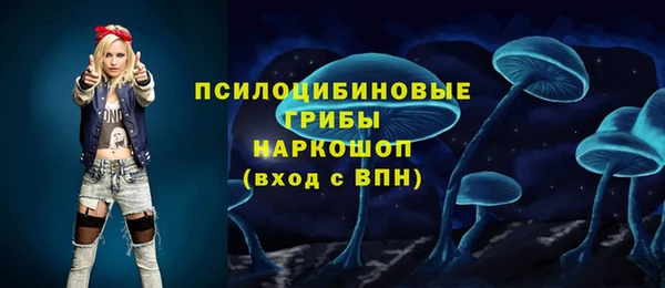 спайс Абинск