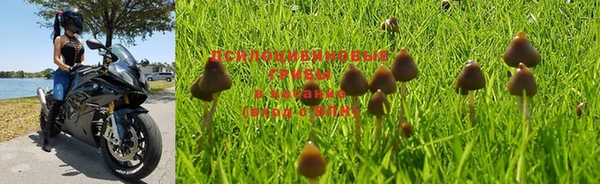 метадон Абдулино