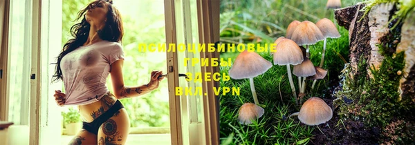 герыч Абаза