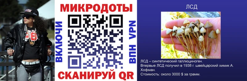 Псилоцибиновые грибы Cubensis  blacksprut сайт  Полтавская  купить закладку 