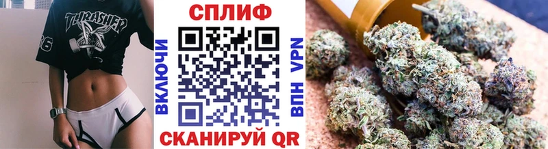 Каннабис сатива Полтавская